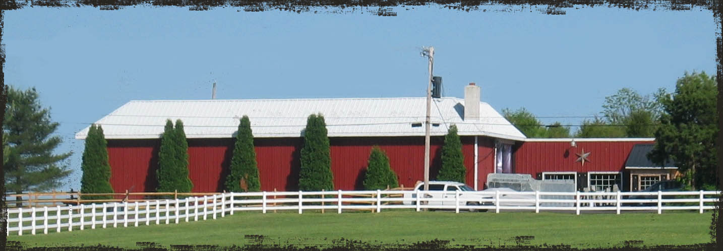 Picture of our location